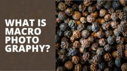 What Is Macro Photography