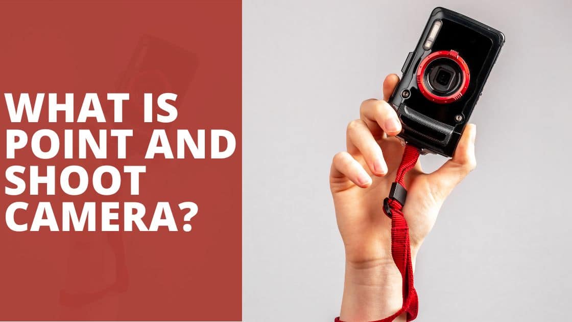 What is Point And Shoot Camera? TechnoWifi