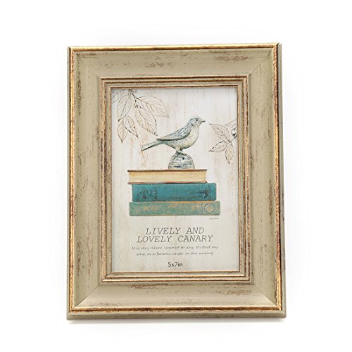 5x7 Inches Vintage Feel Picture Frame For Tabletop or Wall Hanging with Glass Front (5"x7", Khaki)