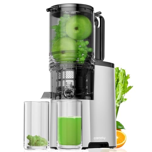 Cold Press Juicer, 6.1" Extra Large Feed Chute Fit Whole Fruits & Vegetables, 350W Professional Slow Masticating Juicer Machines, Easy to Clean