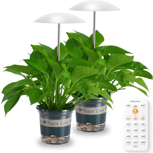 LED Grow Lights for Indoor Plants 2 Pack, Smart Full Spectrum USB Small Plant Lights with Remote, Height Adjustable, Auto On/Off Timer, Ideal for Home Decoration