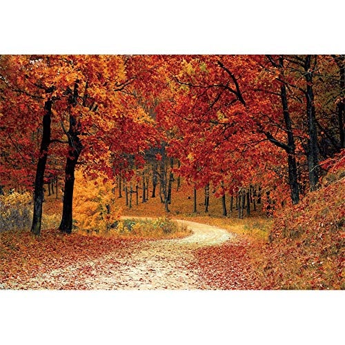 Leyiyi 7x5ft Autumn Forest Backdrop Red Maple Trees Mountain Road Deciduous Landscape Thanksgiving Photography Background Fall Natural Scenery Wedding Children Adult Portraits Photo Studio Prop
