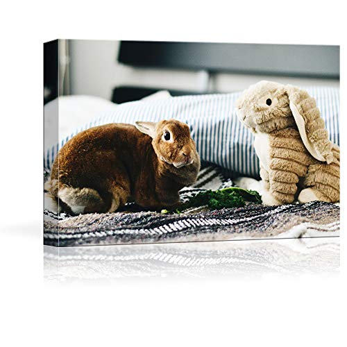 NWT Custom Canvas Prints with Your Photos for Pet/Animal, Personalized Canvas Pictures for Wall to Print Framed 11x14 inches