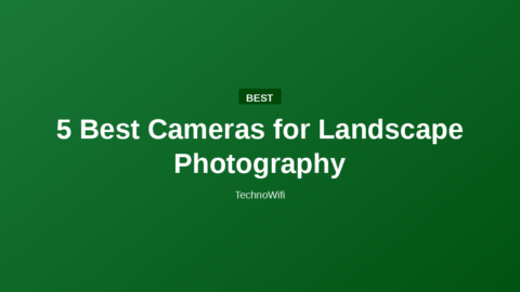 5 Best Cameras for Landscape Photography