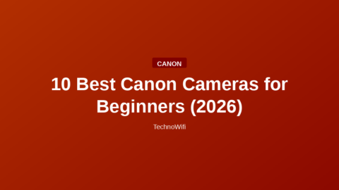 10 Best Canon Cameras for Beginners (2026)
