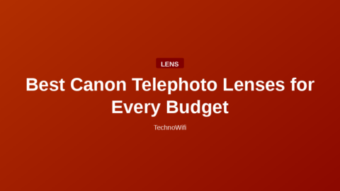 Best Canon Telephoto Lenses for Every Budget