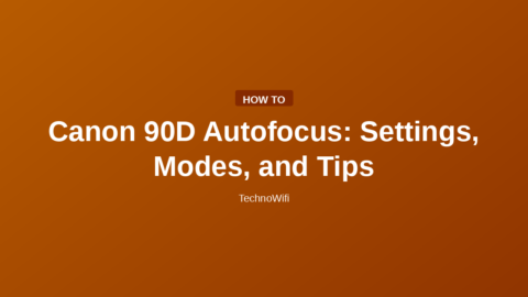 Canon 90D Autofocus: Settings, Modes, and Tips