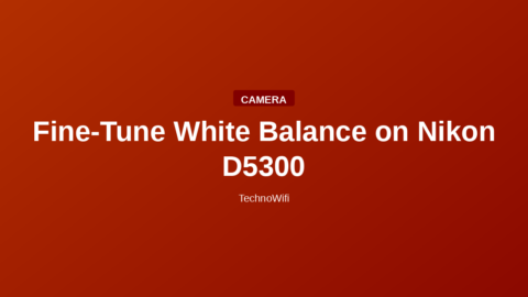 Fine-Tune White Balance on Nikon D5300