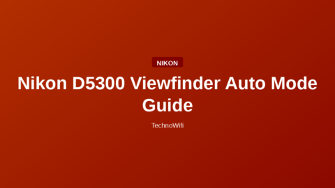 Nikon D5300 Viewfinder Auto Mode Guide