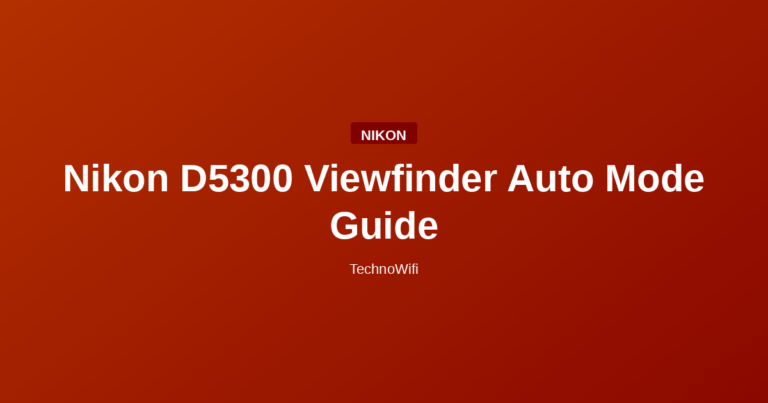 Nikon D5300 Viewfinder Auto Mode Guide