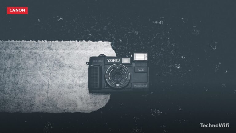 12 Best Canon Lenses for Portrait Photos