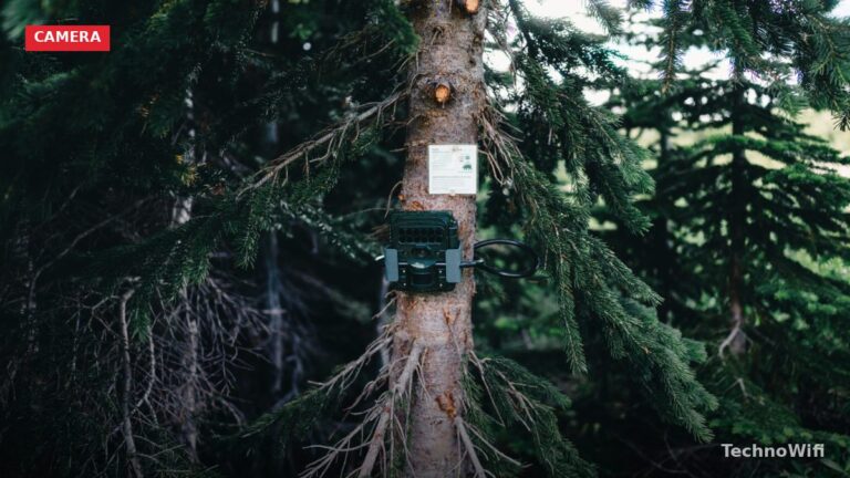 Spypoint Link-S Cellular Trail Camera Review (2026)