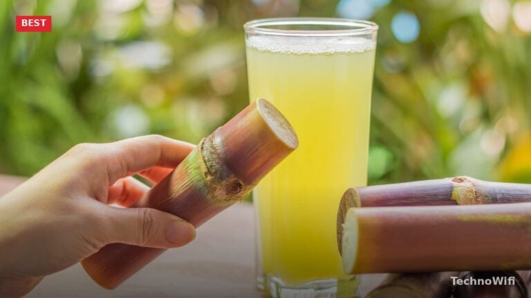 5 Best Sugarcane Juice Machine