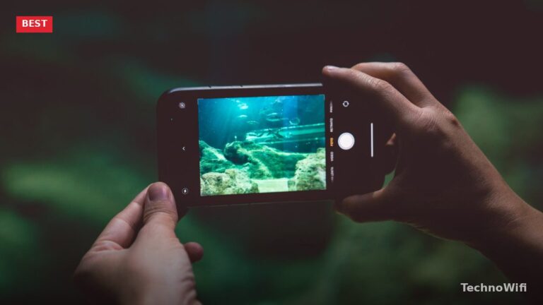Top 6 Underwater Digital Cameras for 2026