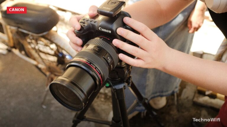5 Best Canon Cameras for Still Life Photography