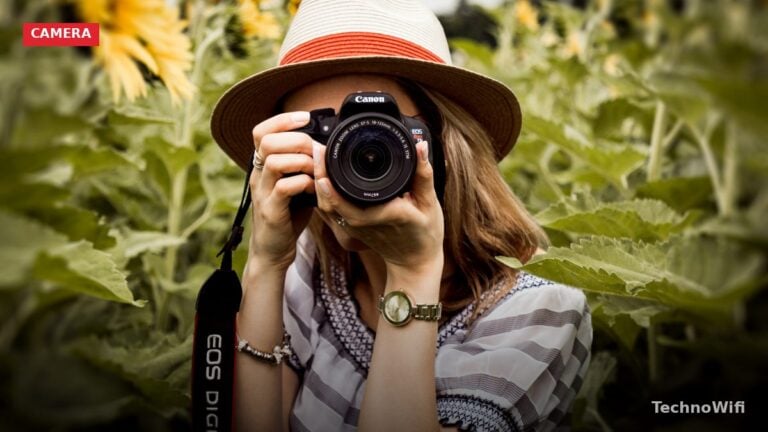 Canon M50 vs Sony A6000: Full Comparison