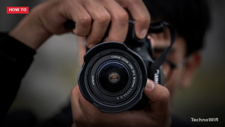 Canon R5 Bird Photography Settings That Actually Work