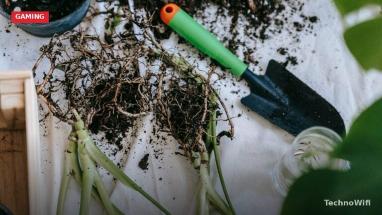 Rooted Dirt Rarity in Minecraft Explained (2026)