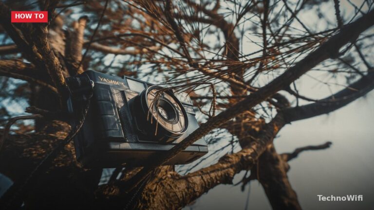 Canon 7D Landscape Settings: A Practical Guide