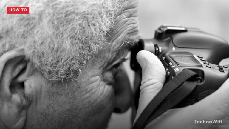Canon EOS R Wildlife Photography Settings