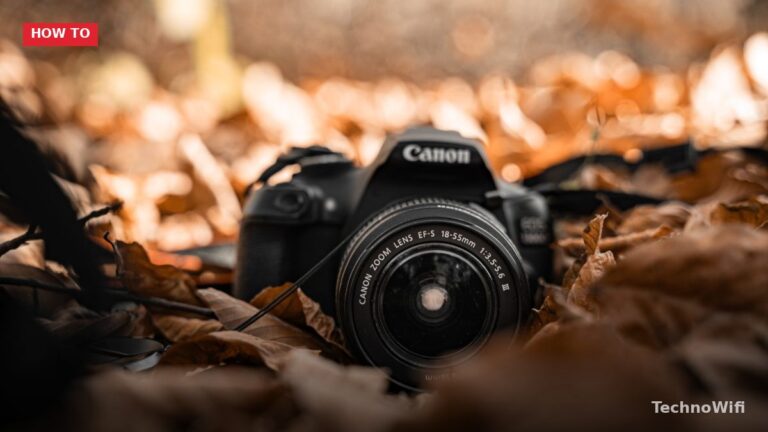Nikon D850 Landscape Settings: 7 Pro Steps (2026)
