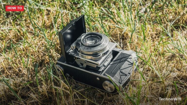 Nikon Z6 Landscape Settings: Shoot Better (2026)