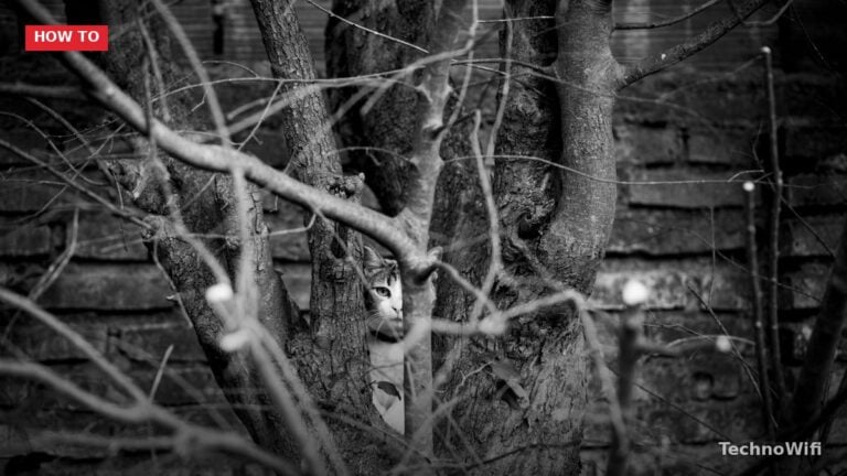 Find Hidden Cameras: 4 Proven Detection Methods
