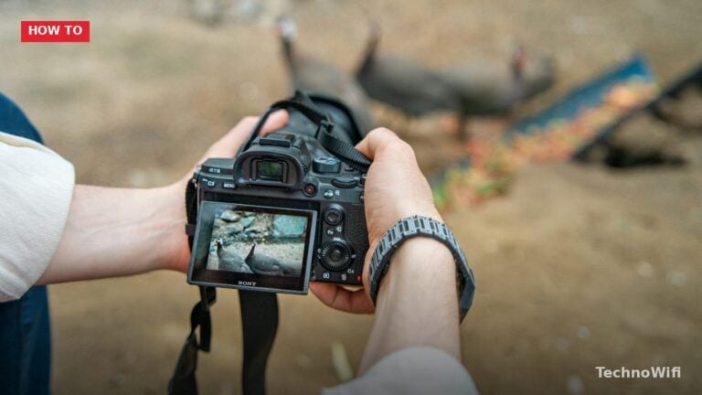 Transfer Photos From Nikon to iPhone
