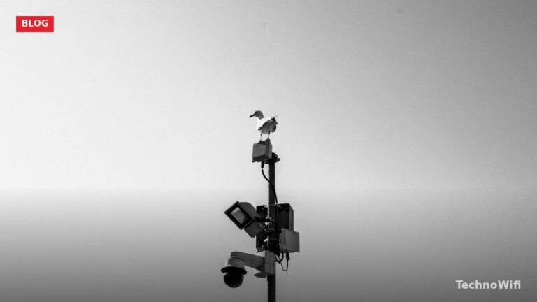 Floodlight Cameras Explained: Features and Benefits