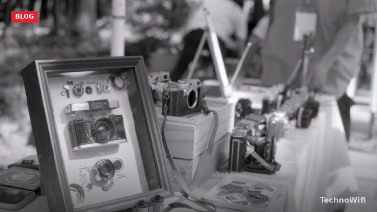 12 Places to Develop Disposable Cameras (2026)